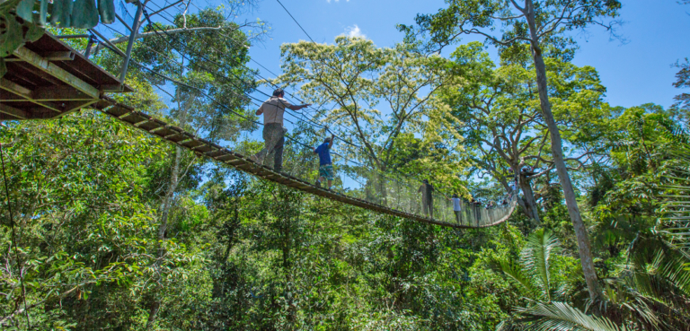 Tambopata Lodge & National Reserve: Ultimate Guide, How to Get There, Prices & Wildlife