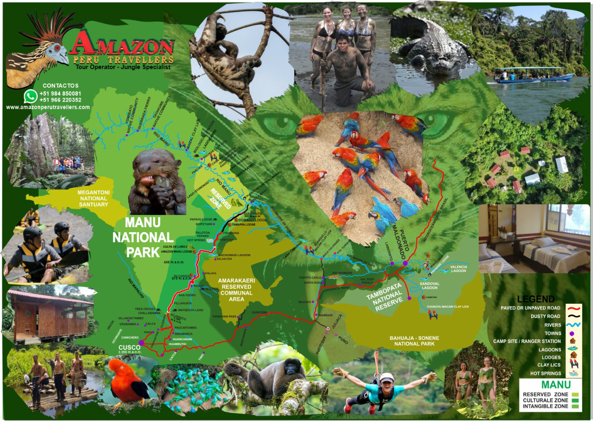 peru manu national park amazon wildlife