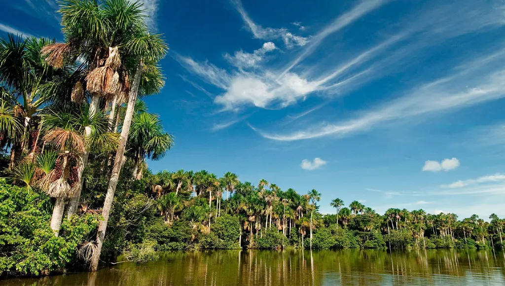 Sandoval-Lake-in-Tambopata-National-Reserve